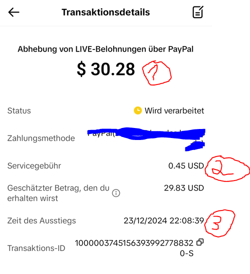 Auszahlungsabrechnung TikTok